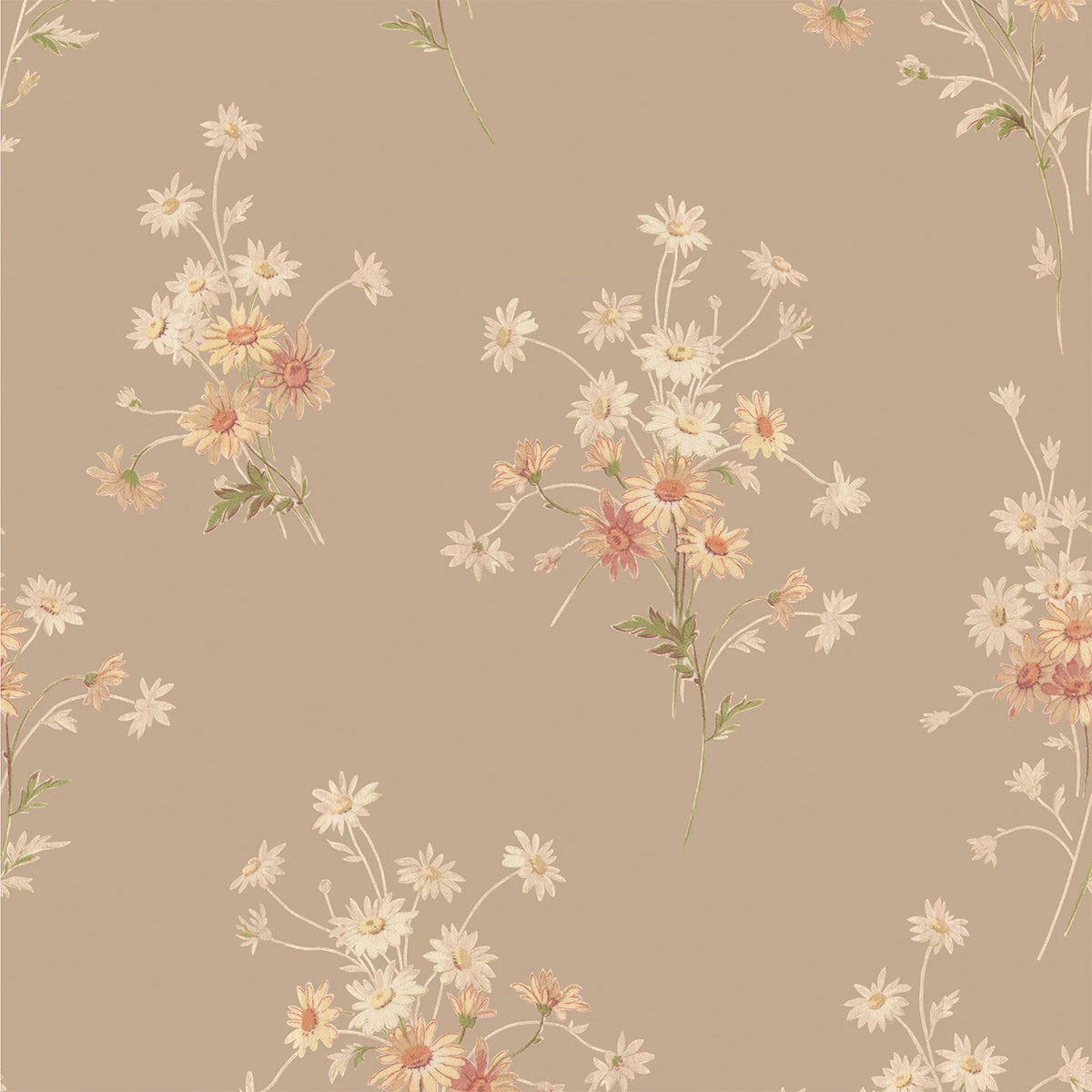 Warm Taupe Daisy Bouquet Wallpaper 5 Warm Taupe Daisy Bouquet Wallpaper - Image 3