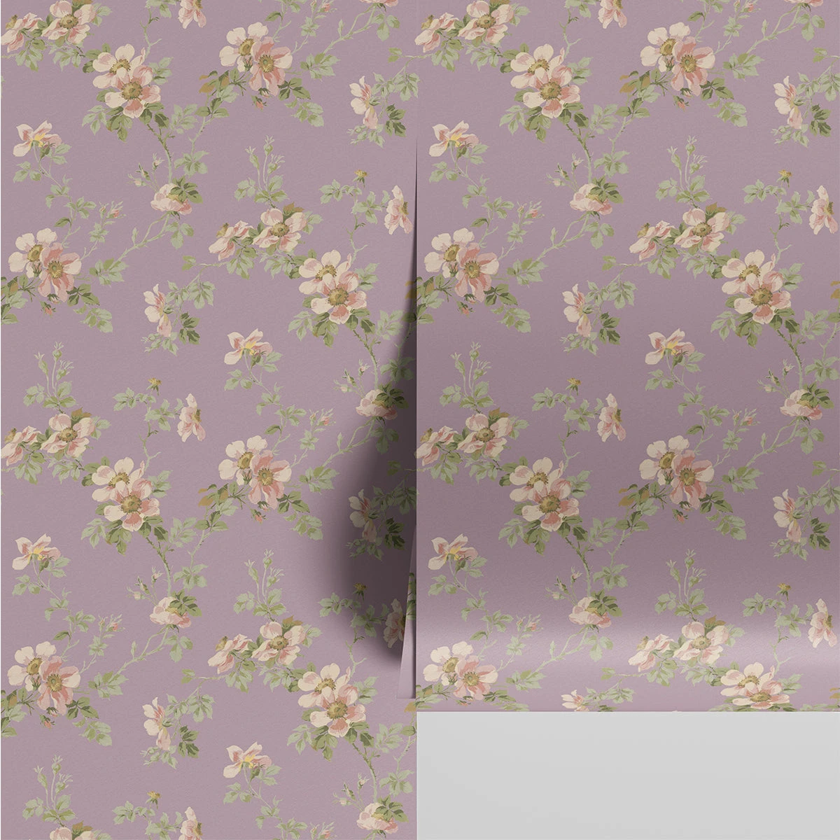 Mauve Field Rose Wallpaper 3 Mauve Field Rose Wallpaper