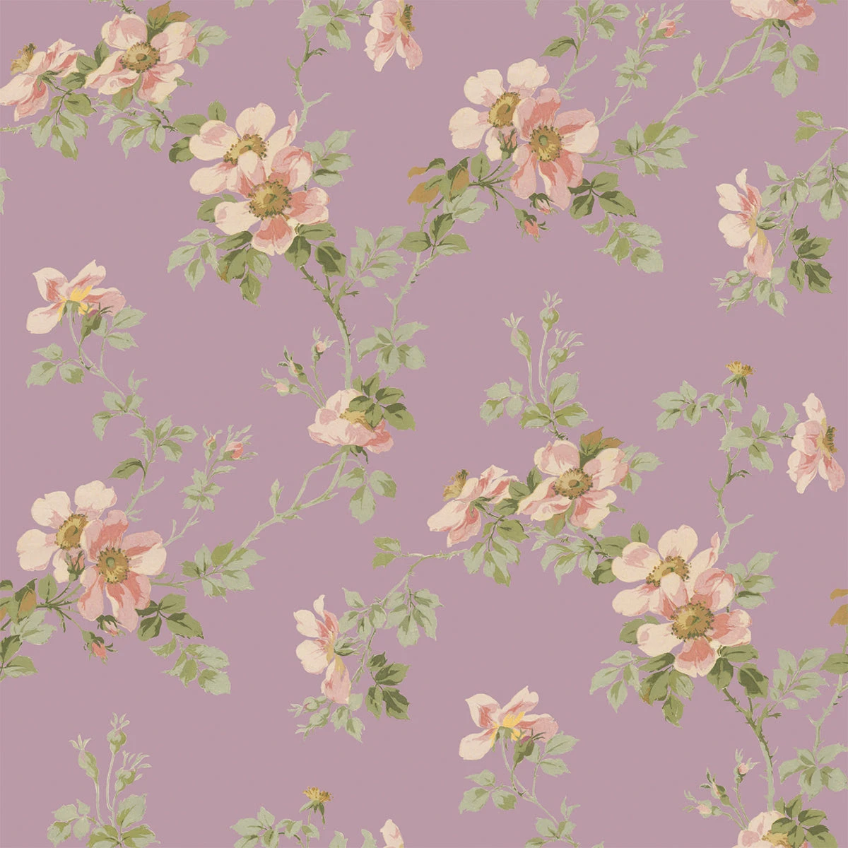 Mauve Field Rose Wallpaper 4 Mauve Field Rose Wallpaper - Image 2