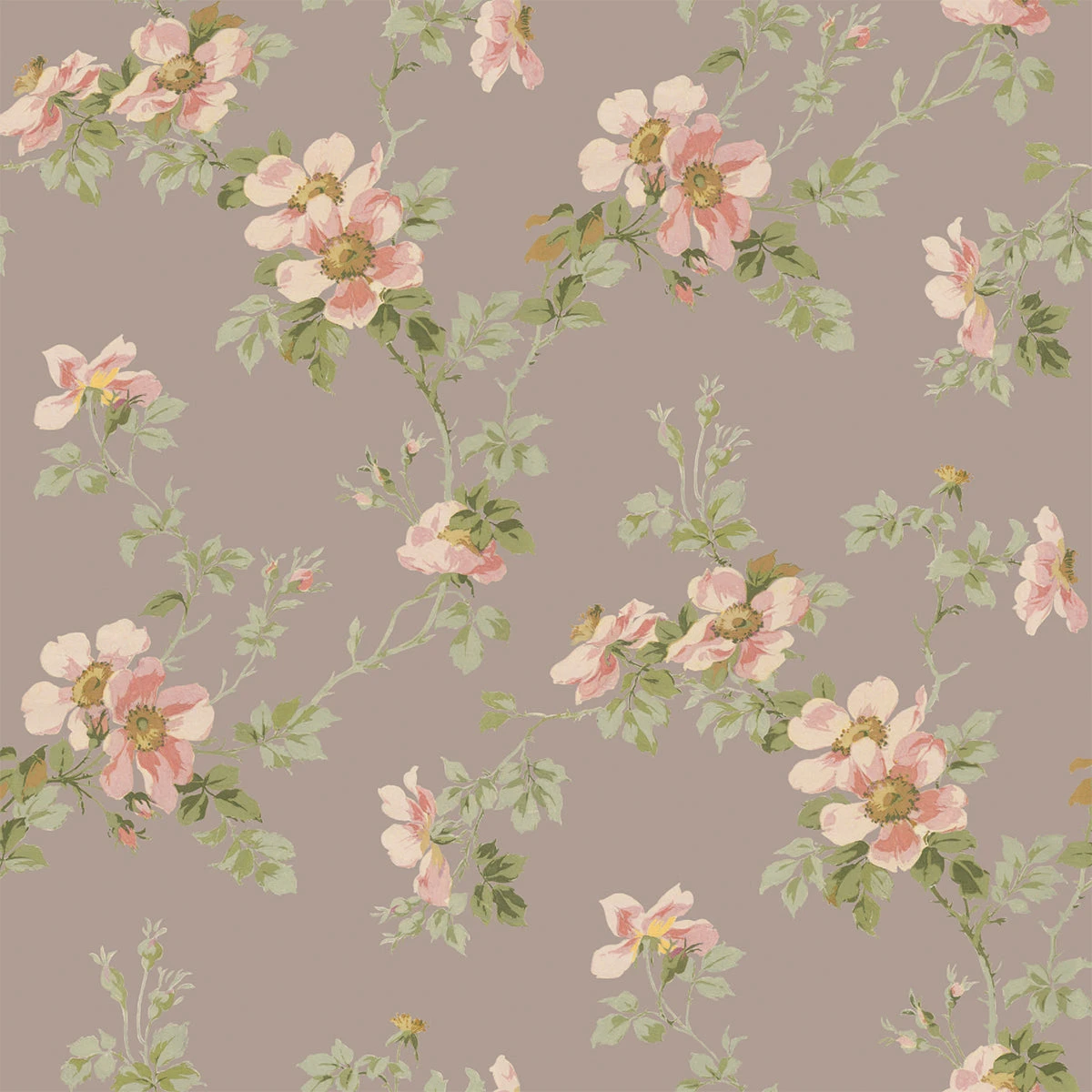 Mushroom Grey Field Rose Wallpaper 4 Mushroom Grey Field Rose Wallpaper - Image 2