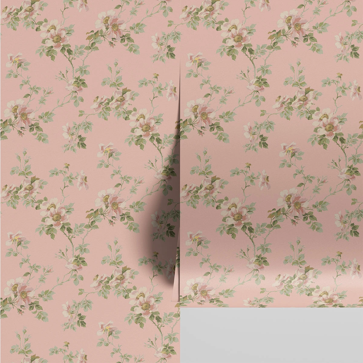 Powder Peach Field Rose Wallpaper 3 Powder Peach Field Rose Wallpaper