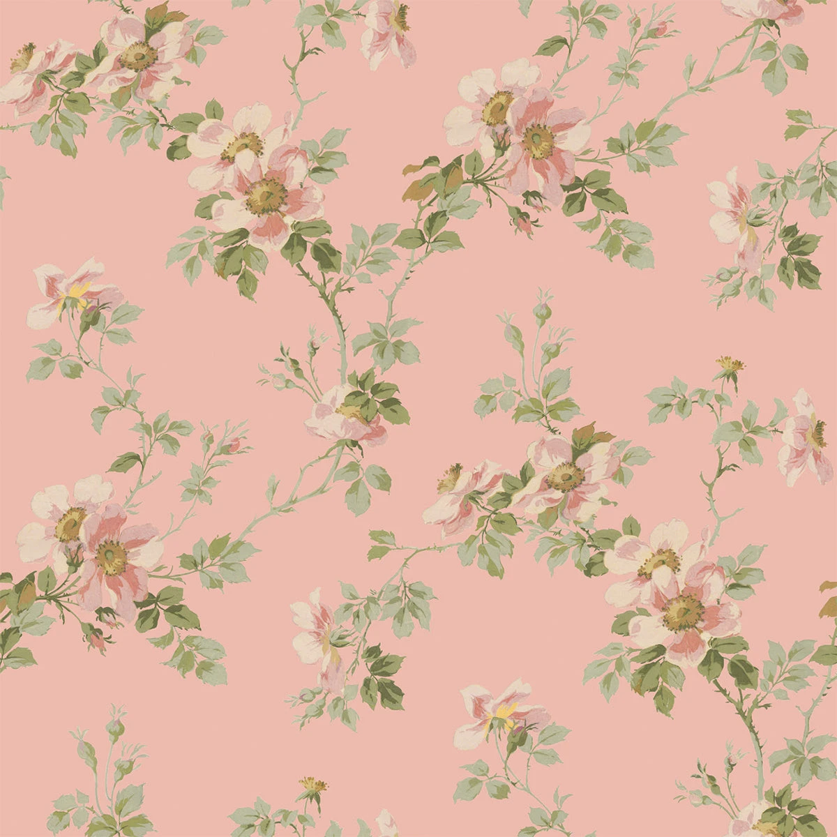 Powder Peach Field Rose Wallpaper 4 Powder Peach Field Rose Wallpaper - Image 2