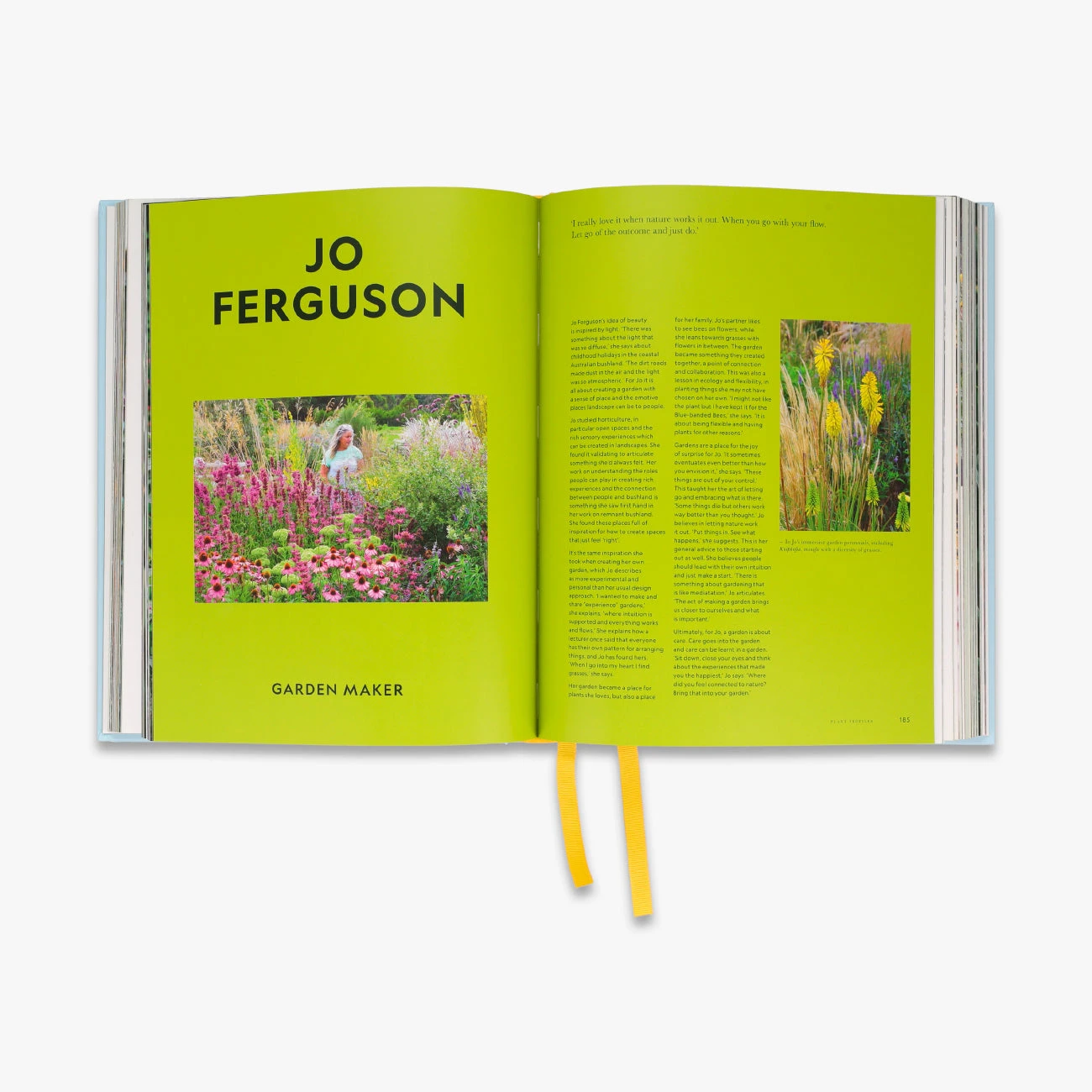 Super Bloom 4 Super Bloom - Image 2