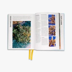 Super Bloom 9 Super Bloom -Piglet in Bed Store PiB Super Bloom Secondary 2