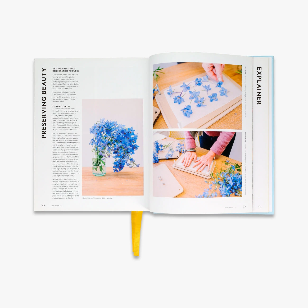 Super Bloom 7 Super Bloom - Image 5