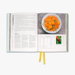 Super Bloom 10 Super Bloom -Piglet in Bed Store PiB Super Bloom Secondary 4