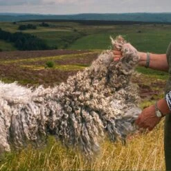 Hope Felted Wool Rug 10 Hope Felted Wool Rug -Piglet in Bed Store Piglet in Bed Cross Hope Felted Wool Rug Leicester Longwool 3