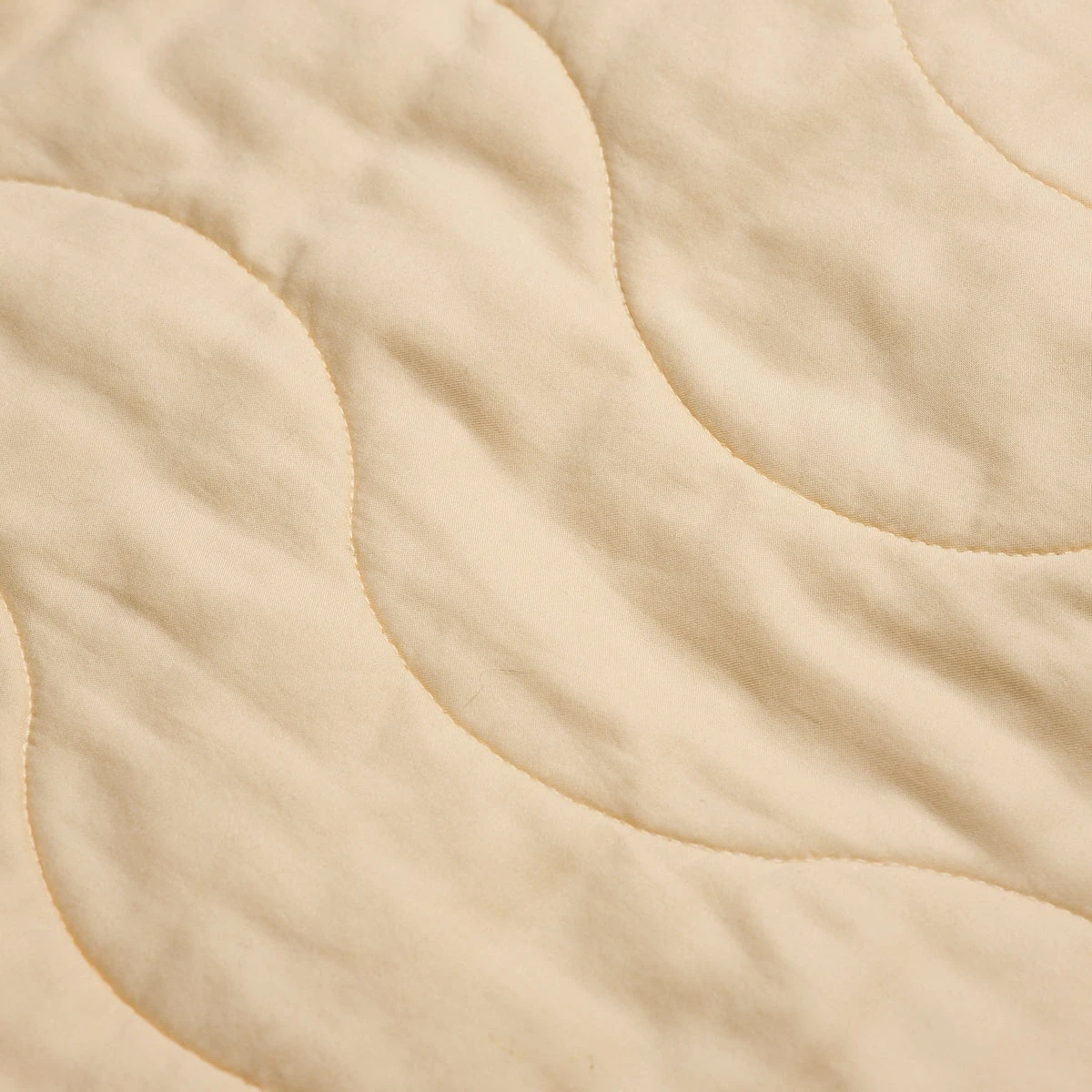 Honeysuckle Cotton Sham (Pair) 5 Honeysuckle Cotton Sham (Pair) - Image 3